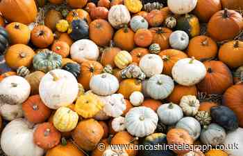4 ways to recycle pumpkins after Halloween