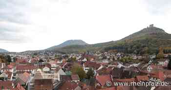 Stadt-Management-GmbH: Kümmerer und Ideenschmiede - Annweiler - Rheinpfalz.de