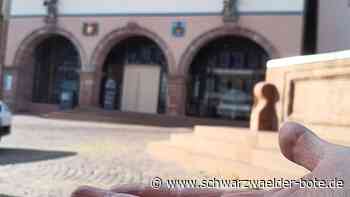 Finanzen in Calw - Stadt verliert nur zwei Millionen - Schwarzwälder Bote