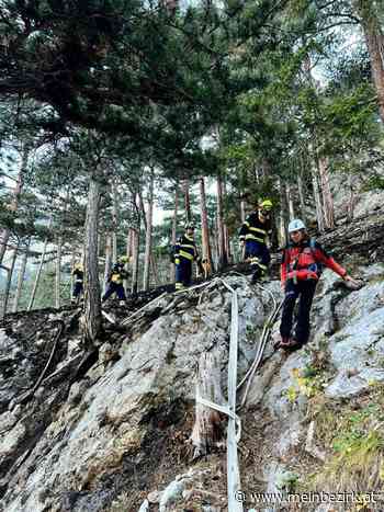 Hirschwang an der Rax: Niederösterreichs Bergretter unterstützen Löscharbeiten am Mittagstein - Neunkirchen - meinbezirk.at