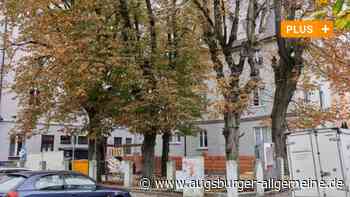 Verstöße beim Bau? Baumallianz fürchtet um Kastanien in Augsburger Biergarten - Augsburger Allgemeine