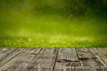 Clima en Paso De Los Libres: cuál es el pronóstico del tiempo para el 31 de octubre - LA NACION
