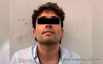 Ovidio Guzmán, el intocable/ Ricardo Ravelo/ Desde el Altiplano - plumas libres