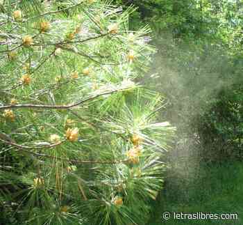 La complicada verdad del “sexismo botánico” - LetrasLibres.com
