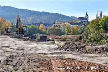 Gernsbach: Rodungen für den „Wörthgarten“ - Badisches Tagblatt
