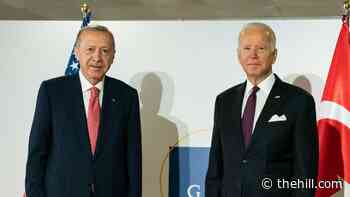 Biden raises concerns over Russian missile system with Turkey's Erdoğan