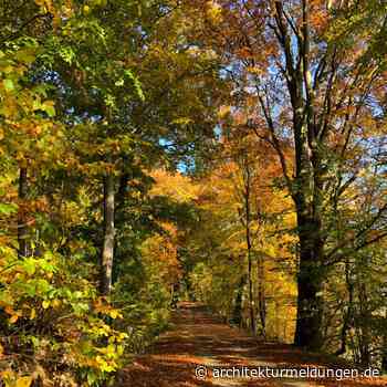 Touren-Tipp nördlich von Berlin: Mit dem Fahrrad von Neustrelitz am Ufer des Tollensesees entlang nach Neubrandenburg