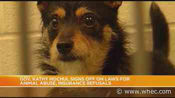 Governor Hochul signs two laws aimed at protecting pets