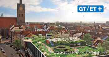 Roofwalk: So werden Hannovers grüne Dächer Wirklichkeit