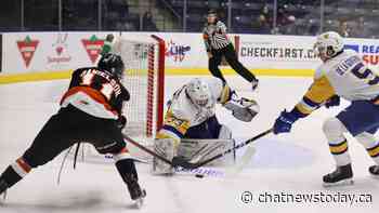 Tigers give up four power play goals, lose to Saskatoon - CHAT News Today