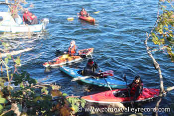 BC environmental activists form flotilla in protest of raw log exports – Comox Valley Record - Comox Valley Record