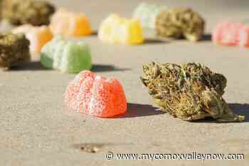 Province says don't let cannabis candy spook kids, parents - My Comox Valley Now