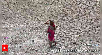 Last seven years on track to be hottest on record: UN