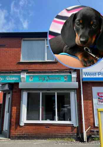 Dog groomers in Dunriding Lane plans given formal approval - St Helens Star