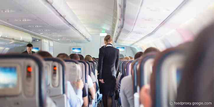 'At 38,000 feet, we are all you have' - flight attendants are fed up with a growing number of violent in-flight encounters