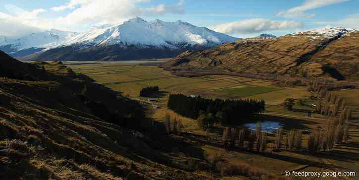 'Fortress New Zealand' prepares to open to some COVID vaccinated travelers with shortened quarantine for foreigners in a positive sign for future tourism