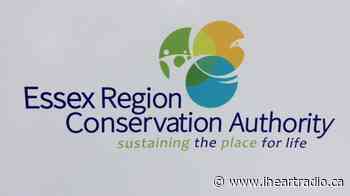 Flood watch in effect for shorelines of Lake Erie, Lake St. Clair and the Detroit River - AM800 (iHeartRadio)