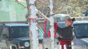 Red ribbons in honour of missing and murdered Indigenous women and girls return to Memorial Drive