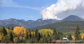 Getting bureaucrats out of the way of forest management - Daily Inter Lake