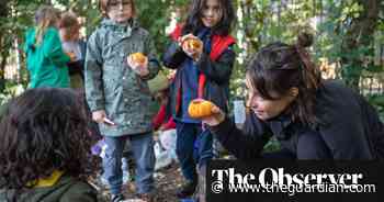 Forest schools flourish as youngsters log off and learn from nature - The Guardian
