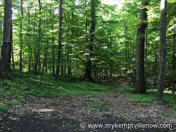 Non-hunters encouraged to avoid Limerick Forest as deer season begins November 1st - mykemptvillenow.com