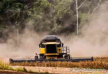 Imports drive forest loss - Nature.com