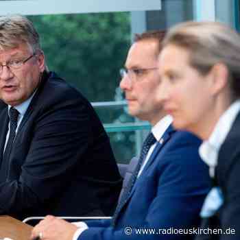 Meuthen fordert Austausch der gesamten AfD-Spitze - radioeuskirchen.de