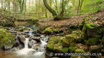 Take time out to savour these natural wonders around Bolton - The Bolton News