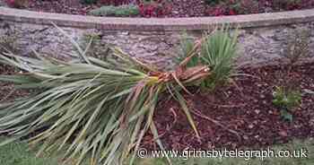 'Mindless vandalism' destroying an award winning park - Grimsby Live