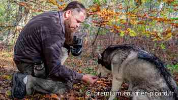 À Lacroix-Saint-Ouen, il propose des séances photo pour vos chiens - Courrier Picard