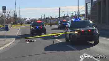 Man dies following stabbing near CTrain station in Calgary's northeast - CBC.ca
