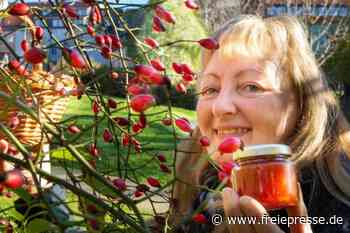Vitaminbomben vom Wegesrand - Freie Presse