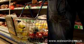 Aldi inviting good causes to register for surplus festive food giveaway - Wales Online
