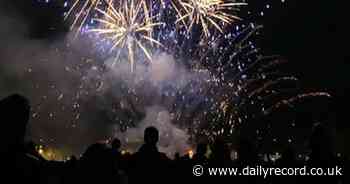 Blairgowrie raw dog food firm offers tips to keep pets calm during Bonfire Night - Daily Record