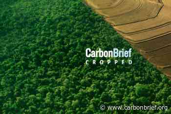 Cropped, 27 October 2021: COP26; Committee on World Food Security meets; Climate change in Africa - Carbon Brief