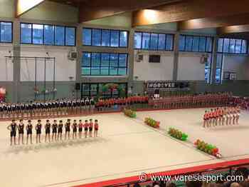 Collare d'oro al merito sportivo per la Ginnastica Virtus Gallarate. Verotta: “Sorpresa e felicissima” - VareseSport