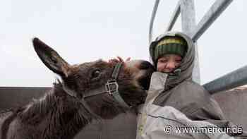 Dachau: „Es ist okay, über den Tod vom Papa zu reden“ - Merkur Online