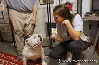 Charlotte Wilder meets UGA, the Georgia Bulldogs mascot | Ultimate College Football Road Trip