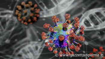 Parma, scoperti 20 nuovi positivi. Restano in 4 in terapia intensiva - Gazzetta di Parma - Gazzetta di Parma