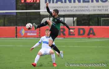 Twee pareltjes bezegelen het lot van Avanti Stekene - Het Nieuwsblad