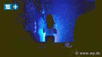 Escape-Room: Grusel-Abenteuer im Horrorhaus auf Platte Heide - WP News