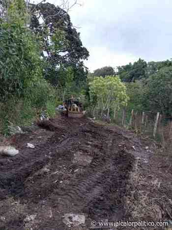 Sacaron 205 toneladas de basura de tiradero clandestino en Coatepec - alcalorpolitico