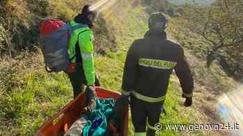 Cacciatore inciampa sulle alture di Voltri, portato in ospedale dal soccorso alpino - Genova24.it