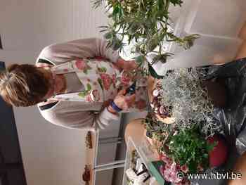 Ferm Alken centrum maakt Allerheiligen-bloemstukken - Het Belang van Limburg