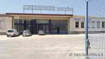 Bari, la zona industriale cambia volto: ex Calabrese al gruppo Bruno e arrivano i colossi di automotive e log… - La Repubblica