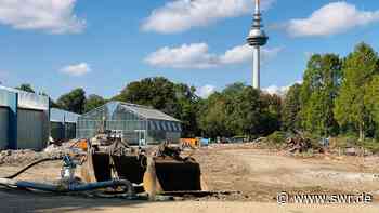 BUGA23: Neue Parkmitte im Luisenpark Mannheim nimmt Form an - SWR