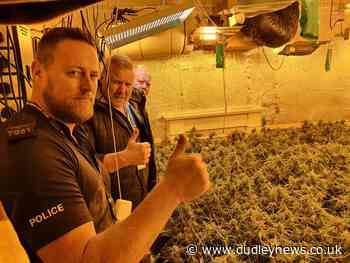 Dudley police raid cannabis farm and seize plants worth £200k - Dudley News