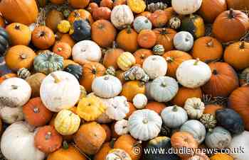 4 ways to recycle pumpkins after Halloween | Dudley News - Dudley News
