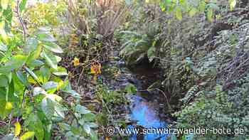 Wandern in Aichhalden - Erlebnisweg am Rötenbach begeistert Räte - Schwarzwälder Bote