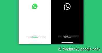 WhatsApp refreshes branding in new update, now ‘WhatsApp from Meta’